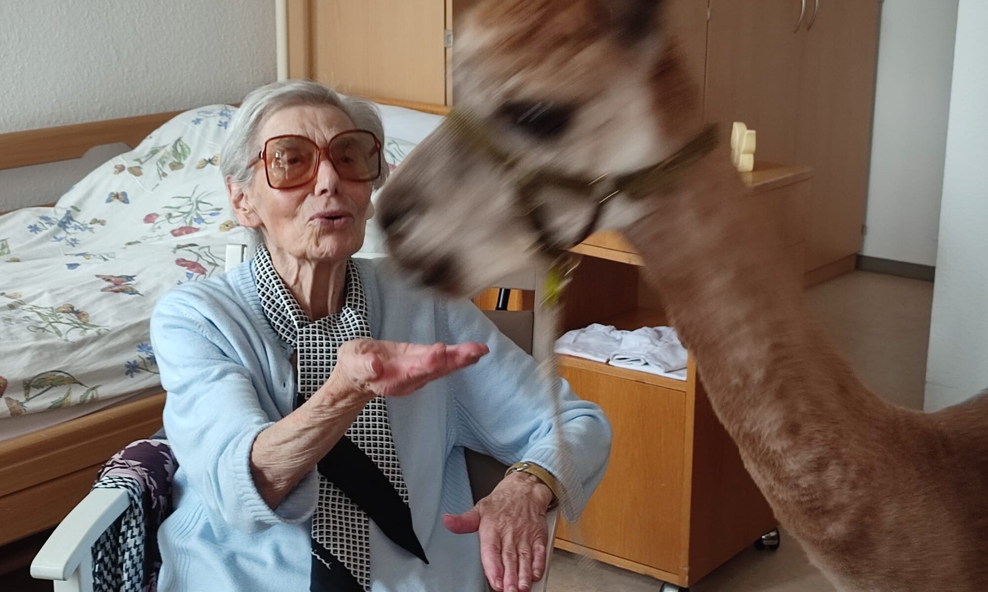 Tiergestützte Therapie im Seniorenzentrum Goeckestift